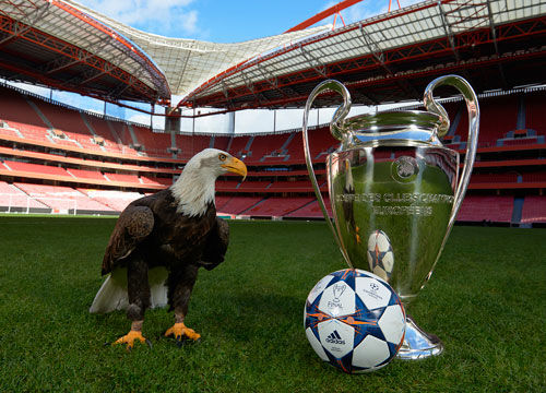 布朗：球队在二三节没发挥应有水准，绿军替补阵容产生大影响（布朗：球队二三节表现不达标，绿军替补成关键因素）